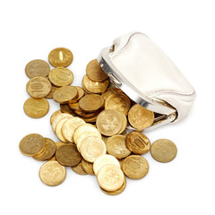 Open purse with gold coins