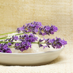 Obraz na płótnie Canvas Lavender on Spa Bath Salt and Linen Background