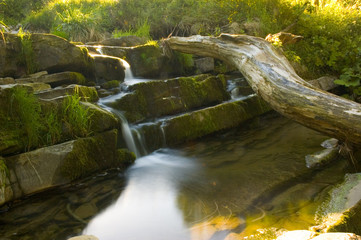Fototapeta premium Woda przelewająca się po kamieniach w górskim strumieniu