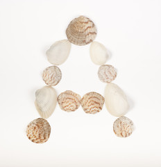 Alphabet letter made from sea shells