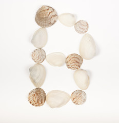 Alphabet letter made from sea shells