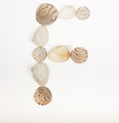 Alphabet letter made from sea shells