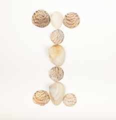 Alphabet letter made from sea shells