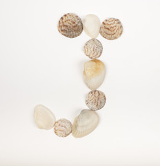 Alphabet letter made from sea shells