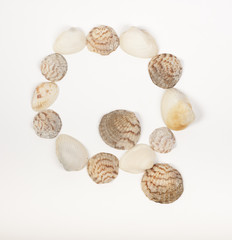Alphabet letter made from sea shells