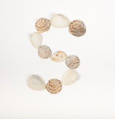 Alphabet letter made from sea shells