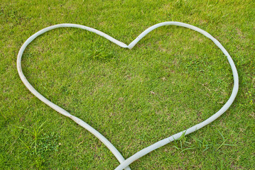 Green grass texture background with heart.