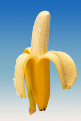 Banane, geschält 284