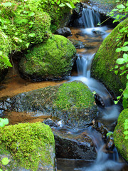 Magic Water