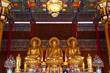 the most © waranon jankerd