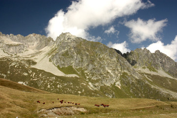 Fototapeta na wymiar montagne