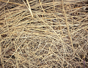 Straw background