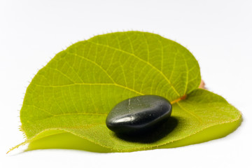 spa stein auf grünem blatt