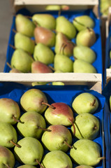 Pears in the crates in Wholesale market