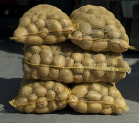 Fototapeta na wymiar Potatoes in mesh bags