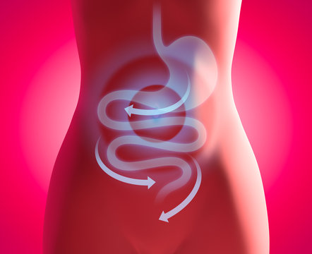 Sanfte Medizin im Verdauungstrakt - Infografik