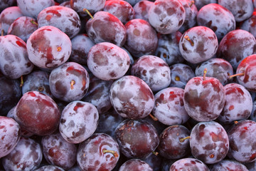 Plums