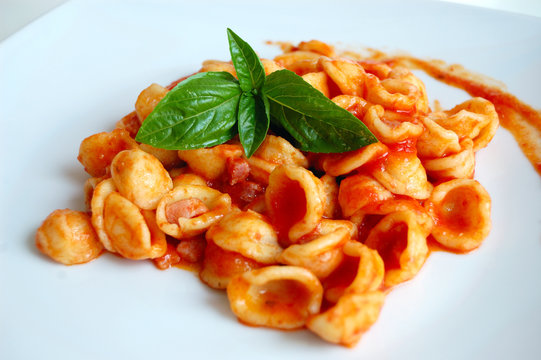Orecchiette Pasta with Tomato sauce and basil