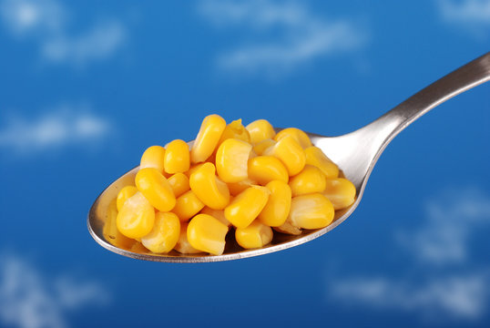 cucchiaio di mais - tre