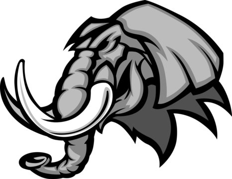 Elephant Mascot Head Graphic