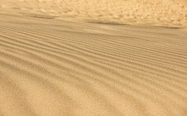 Fototapeta na wymiar Desert sand