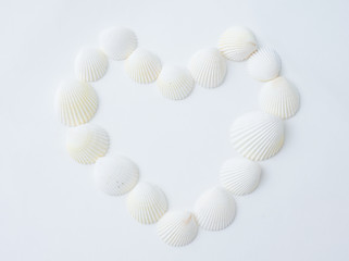 seashell heart