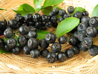 Apfelbeeren im Körbchen