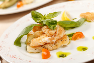 fish food