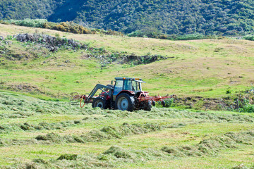 Fototapeta premium prairie, fauchage, tracteur, fenaison
