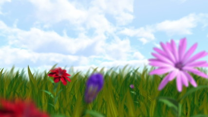 growing flowers and grass with alfa channel