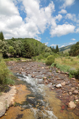 Fototapeta na wymiar Creek at Balkan Mountain - Stara Planina Serbia