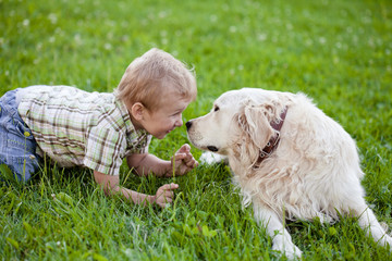 Boy with retriever outdoor