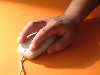 a hand hold a mouse