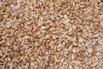 many of garlic ,food ingredient