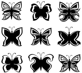 Fototapeta na wymiar Vector illustration of a collection black and white butterflies
