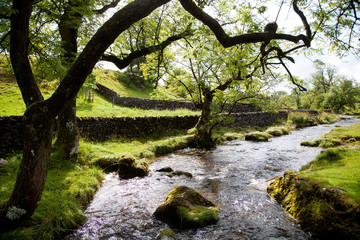 Obraz premium Beautiful landscape in Yorkshire Dales National Park in England