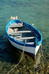 gozzo 1