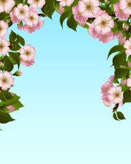 Apple blossom frame