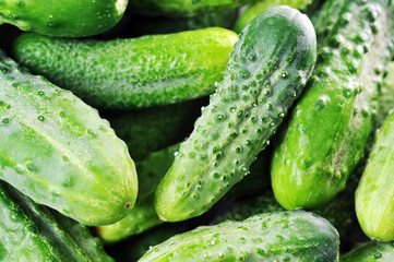 green cucumbers.