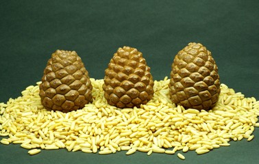 Pinienzapfen auf Pinienkerne