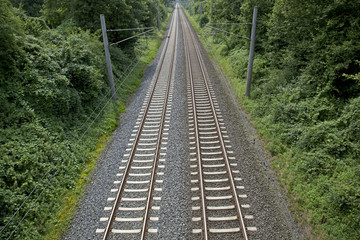 Fototapeta premium Schienen