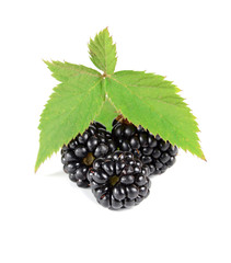 ripe blackberry with green leaves