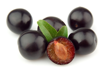 Sweet cherry plums