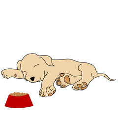 Sleeping puppy with food bowl