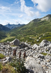 Paraje de montaña asturiana