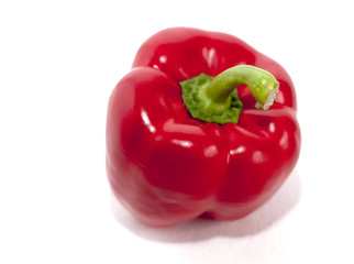 poivron rouge isolé fond blanc