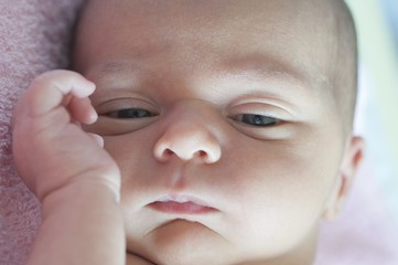 newborn lying comfortable