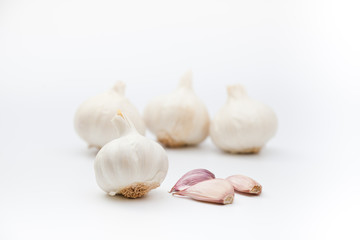 ajos en fondo blanco