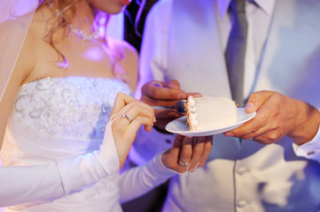 A bride and a groom are eating their wedding cake