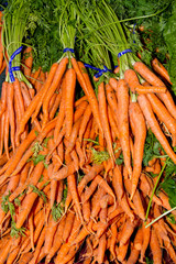 Carrots on display at the market